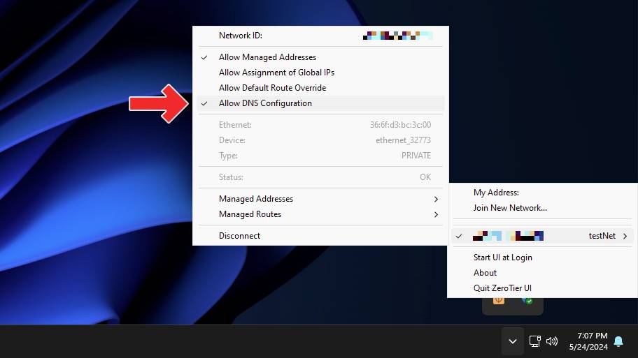zt-dns-1-allow.jpg
